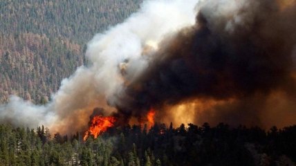 В США определили масштабы пожаров в России
