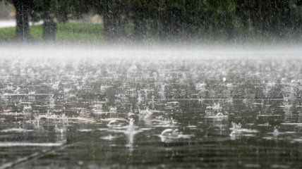 На Закарпатье дожди спровоцировали затопление 