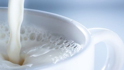 Молоко способствует улучшению работы мозга