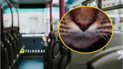 Пасажирів маршрутки у Львові потішив "кондуктор"