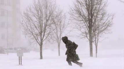 В Украине зимой снег не редкость, как и дождь