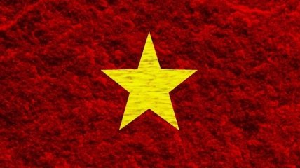 Вьетнам признался, что оплачивает "положительные" публикации