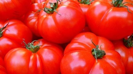 Україна цього року імпортувала помідорів на понад 62 млн доларів