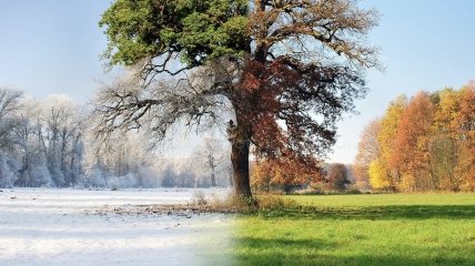 На півночі 25 градусів морозу, на півдні — 12 тепла: Україна опинилася в центрі метеорологічного парадоксу