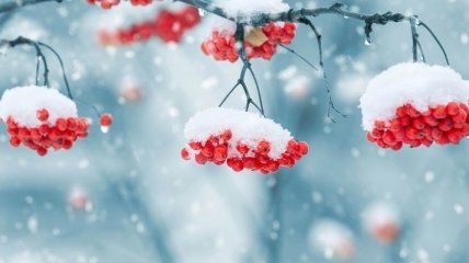 Погода в Украине 7 февраля: преимущественно снег 
