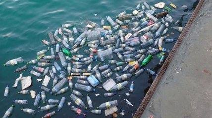 Моряки загрязняют пластиком океан: что известно