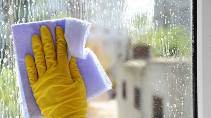 Під час миття вікон можна обійтися без хімії