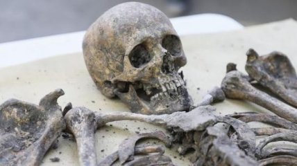 "Часть первой европейской цивилизации": в Болгарии нашли захоронение эпохи неолита