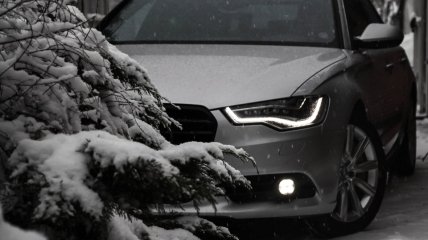Audi посеред засніженого лісу