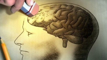 Ученые: Во время обработки информации человеческий мозг "тормозит"