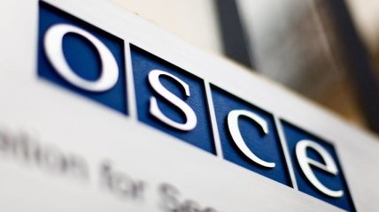 СММ ОБСЕ наблюдала за "хаотичными событиями" у Рады 31 августа