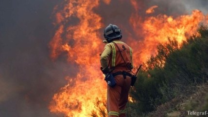 Из-за возобновившихся на Пиренеях лесных пожаров погибли 39 человек