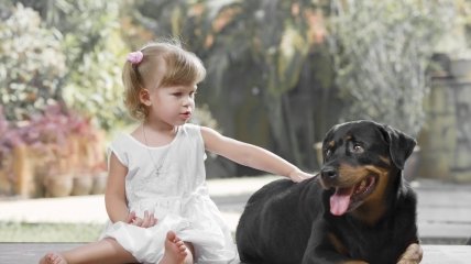 Папина наука: как научить детей не бояться собак