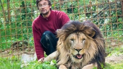 В Чехии лев растерзал своего хозяина, который незаконно удерживал его
