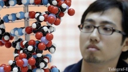 Американцы напечатали книгу на молекулах ДНК