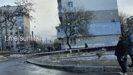 В Харькове на человека упало дерево (Фото)