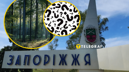 Насекомые в Запорожье