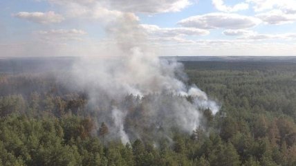Гасіння лісової пожежі на Луганщині продовжується