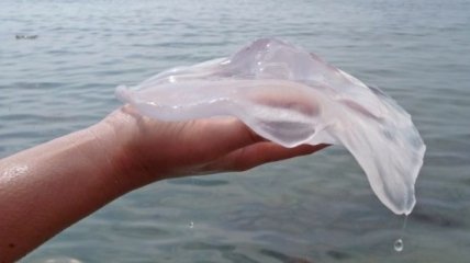 Відпочивальники у Затоці знайшли вихід із ситуації з навалою медуз, але не всім це сподобалося (відео)