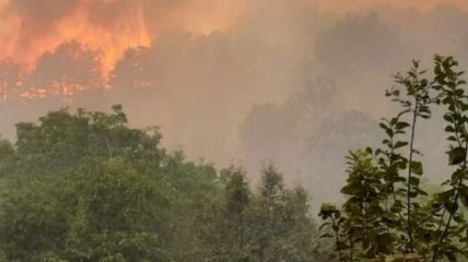 В Северной Македонии сгорели 750 га леса, полыхает в соседних Албании, Болгарии и Косово - есть жертвы (фото, видео) 