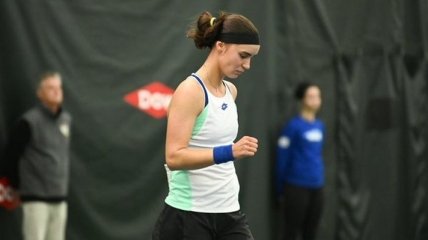 Украинка Калинина пробилась в финал теннисного турнира в США