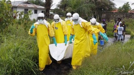 ВОЗ: Число жертв лихорадки Эбола превысило 3 тысячи