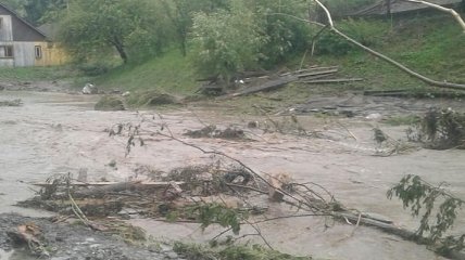 Затопленные дома и размытые дороги: в Закарпатской области прошли сильные ливни (фото)