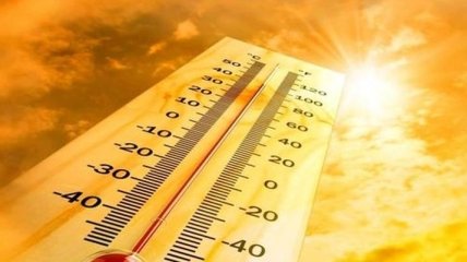 Исследователи нашли способы снижения уровня жары в городе