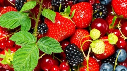 За четыре года Украина увеличила экспорт ягод в 17 раз