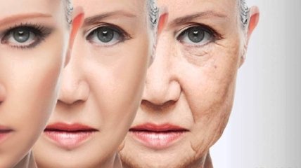 Найден естественный механизм защиты от старения и рака