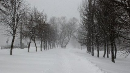 Прогноз погоды на 20 февраля: в Украине резко похолодает 