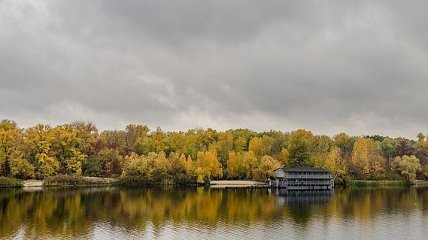 Труханов остров могут превратить в заказник