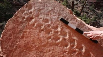 Ученые обнаружили древние отпечатки следов предшественника динозавров