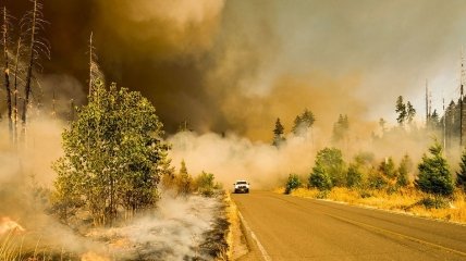 Потепління призводить до збільшення випадків лісових пожеж