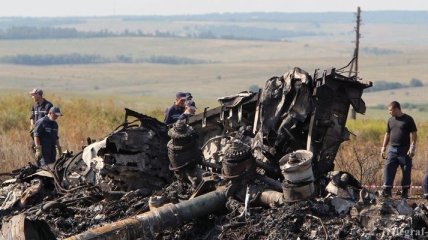 Катастрофа MH17: министры G7 сделали заявление 