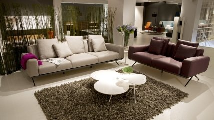 Удалить любой неприятный запах и пятна с ковра реально