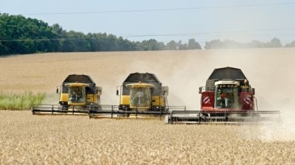 В Минагропрод объявили, сколько тонн зерновых ушло на экспорт