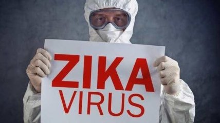 Ученые уверены, что вирус Зика связан с микроцефалией