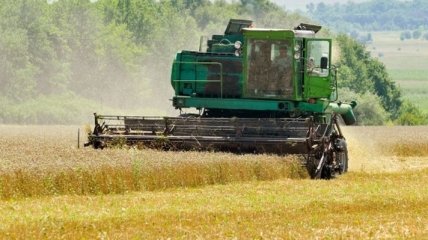 Украина увеличила экспорт аграрной продукции в ЕС