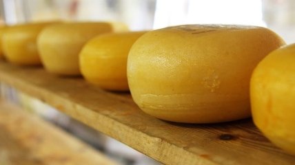 Диетологи опровергли популярный миф о сыре