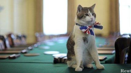 Британский премьер уволил своего кота за невыполнение обязанностей