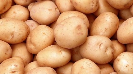 По данным ГФС, больше всего украинского картофеля купила Беларусь
