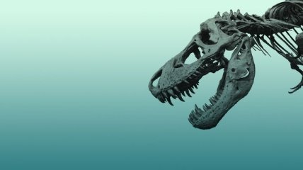Американские ученые открыли новый вид морских динозавров