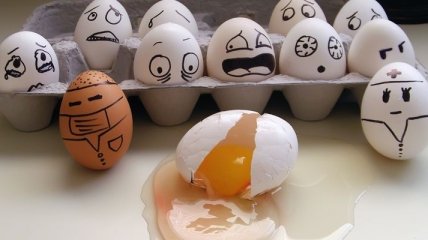 Диета на яйцах