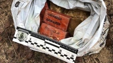 Протитанкові гранатомети, тротил: на Херсонщині знайшли збройну схованку