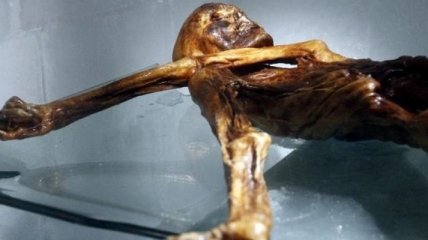 Представлена трехмерная модель мумии ледяного человека Эци