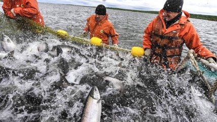 Рыбный промысел