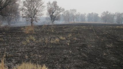 Площадь торфяных пожаров в Полтавской области уменьшилась почти до 110 га