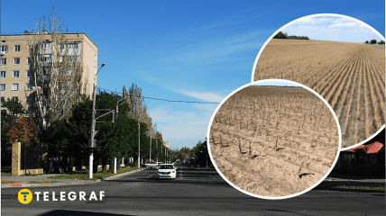 В Мелитополе нет урожая на полях