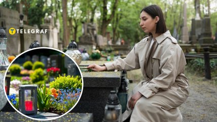 Какие цветы лучше всего сажать на кладбище